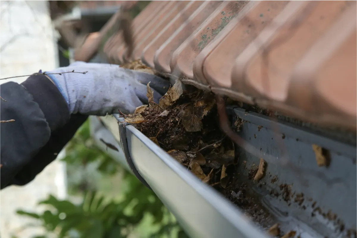 Gutter cleaning process on a Hartford home