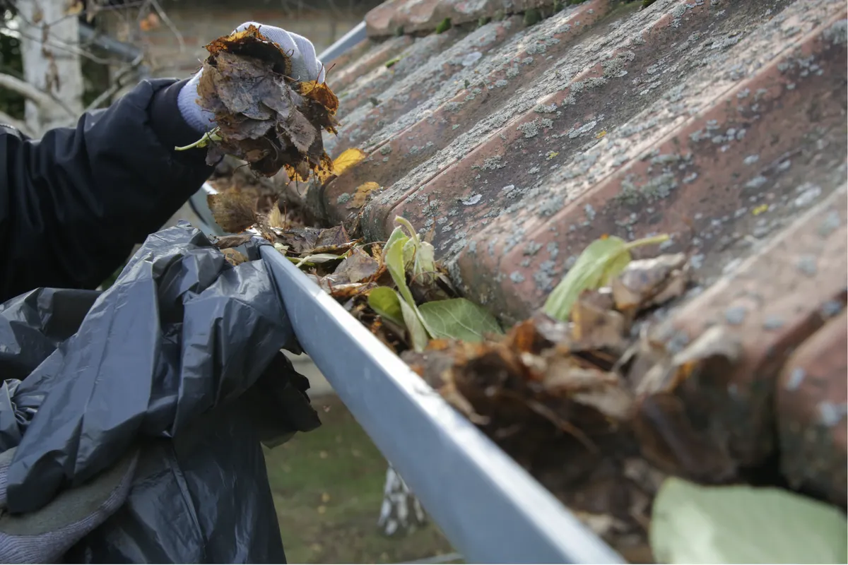 Professional gutter cleaning on a Hartford, Connecticut home